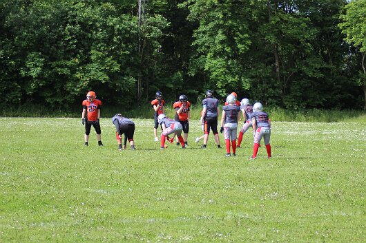 IMG_7734 null