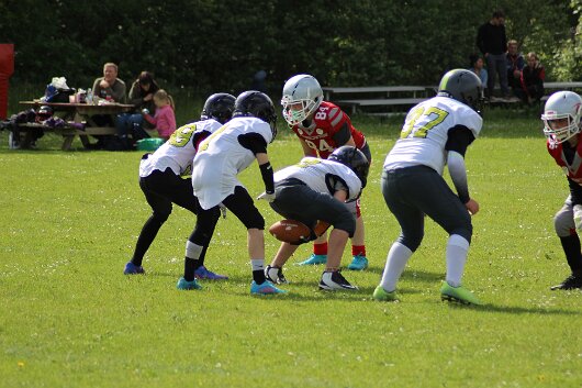 IMG_7749 null