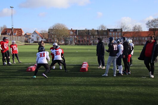 IMG_8653 null